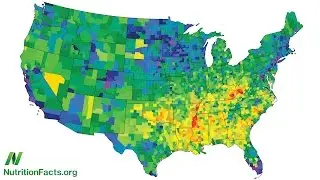 What Percent of Americans Lead Healthy Lifestyles?