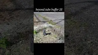 beyond tube buffer 2S、おさんぽ。　#shorts