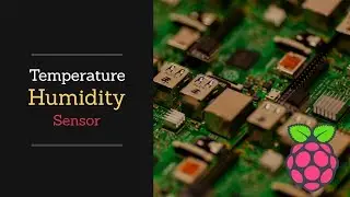 Temperature & Humidity Sensor | Raspberry Pi 3 B+ | Projects for Beginners