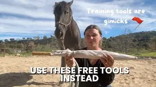3 horse training tools that are a waste of money and 3 free things you could use instead.