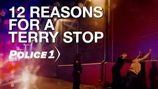 12 Reasons for a police officer to conduct a Terry stop