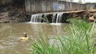 Pesca Cris e Gil 28 kilos de tilapias dia 21-09-2019