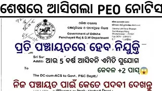 ଶେଷରେ ଆସିଗଲା PEO ନିଯୁକ୍ତି କୁ ନେଇ ସବୁଠାରୁ ବଡ ଖବର//PEO Recruitment 2025//PEO Apply Link