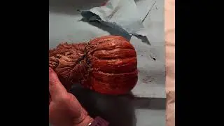Paint a piece of bisque with Fashionhues translucent paint