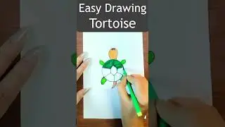 Easy Tortoise Drawing Color