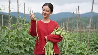 你吃过用茄子和豆子做的菜吗？@子萱ZiXuan-Zi1