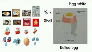 LEARN MEAT FISH DAIRY AND SNACKS VOCABULARY KIDS 