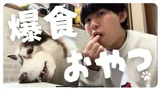 【犬おやつ】犬が毎日欲しがる砂肝