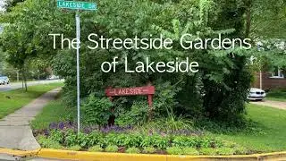 Streetside Gardens of Lakeside