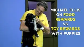 Michael Ellis on Food Rewards VS Toy Rewards with Puppies