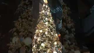 Christmas Tree @ Ayala Triangle