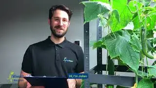 Inside the Vivent Biosignals Swiss Plant Lab
