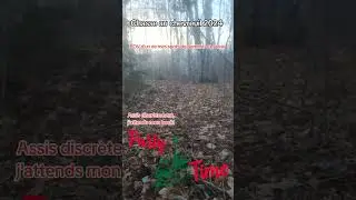 Chasse Chevreuil 2024 POV de ma cache #chevreuil #chasseur #chasse2024 #hunting #deer #pov #chasse