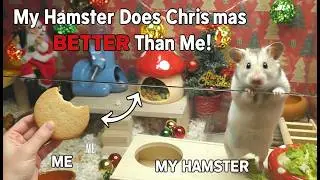 SHOCKING! My Hamster's Reaction to His DIY Christmas Dinner & Decor(ASMR) #ChristmasChallenge