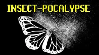 Are Insects Getting Banned?