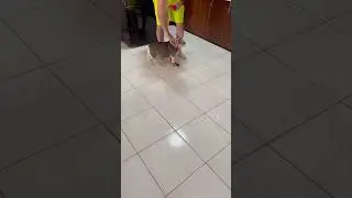 Эта драгоценная ПРИНЦЕССА вышла!