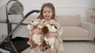 Коляска детская 2 в 1 Amarobaby Motus!