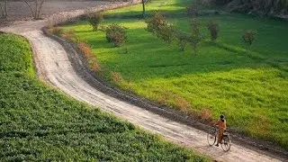 Through Fields and Towns  |   Road Trip to Layyah City | Village to Layyah City