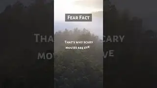 Fear: The Contagious Emotion 😨🤝 #OvercomeFear #EmotionalContagion #Support