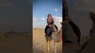 Camel Ride #shorts