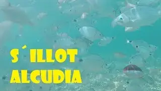 mallorca beache: snorkeling in s&acute;illot