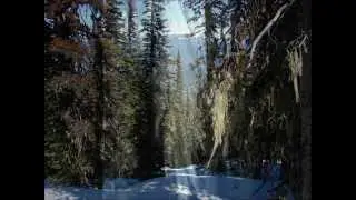 Viking Ridge
