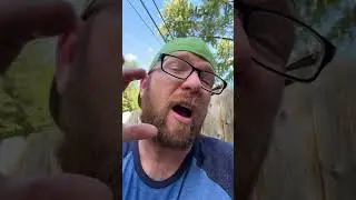 Philly Sports Fans