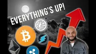 Bitcoin, Litecoin, Ethereum, Electroneum, Neoconnect, Chain.Group, Bit-Bag.com Results & Updates!