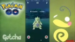 Catching wild Tyranitar