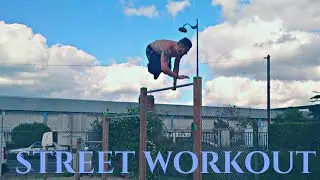 DESIIGNER PANDA STREET WORKOUT DDDTF PARIS MUSCLE UP INVERS&Eacute; , TRACTIONS 1BRAS, DRAPEAUX...