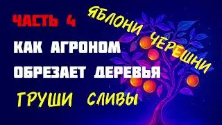 Как обрезать и формировать деревья?
