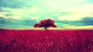 EnSecreto - P&eacute;talos