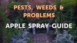 Apple Spray Guide