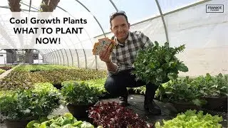 Edible Cool Crops for Early Spring