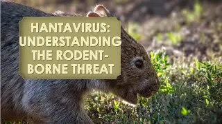 Hantavirus:  Understanding the Rodent-Borne Threat