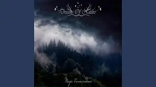 Spell Of The Wind
