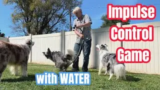 Impulse Control Game with WATER