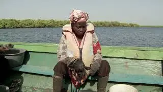 D&eacute;couvrez le Delta du Sine Saloum : Un Tr&eacute;sor &Eacute;cologique et Culturel du S&eacute;n&eacute;gal