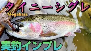 タイニーシグレ(Tiny Siglett) セミルアーを実釣インプレ！