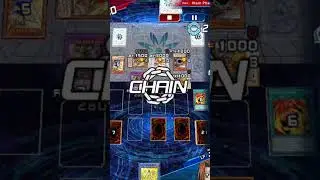 Splashable Ohime combo #yugiohduellinks #ytshorts #shorts