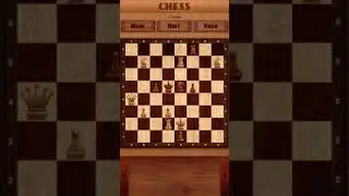 Chess, puzzles 18 - win in 2 moves