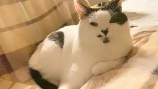 寝る前