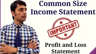 Common Size Income Statement Problems and Solutions | Common Size Income Statement Class 12