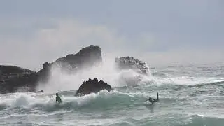 2026 27 January Super Groms