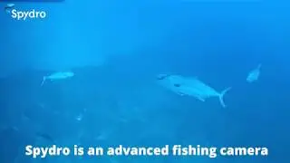 Spydro, la 1&ordf; camara de pesca inteligente