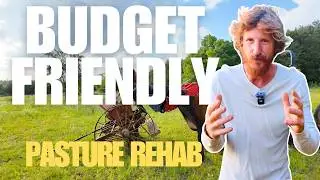 Budget Friendly Pasture Management