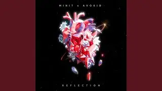Reflection