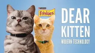 Дорогой котенок: Современные технологии // Представлено Friskies и BuzzFeed