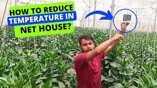 How to Reduce Temperature in Net House?