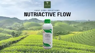 NUTRIACTIVE FLOW | EUROFA (CALYPSO FERTILIZERS) - Advanced NPK Nutrition for Optimal Crop Growth 🌿